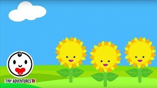 Baby Sensory - Sunflower - High Contrast Color Animation - Infant Visual Stimulation #3