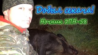 Добыл кабана секача на поле. Ночной прицел 1ПН-58. Карабин Вепрь 129  7.62 54R