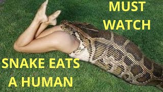 OMG BIG SNAKE SWALLOWED A MAN ALIVE.