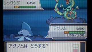 ポケモンハートゴールドソウルシルバー レックウザ Pokemon HGSS Rayquaza
