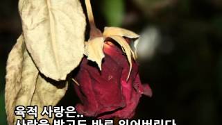 상록수 정명석 멘토의 동영상-모르고 하면/ jms 여신도 충격 감동!