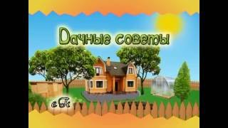 Дачные советы с Галиной Старосельцевой. Август 2016 года - 11
