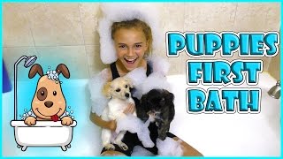 PUPPIES FIRST BATH | WE TEACH MOM POKEMON GO | We Are The Davises