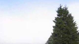 artvin-şavşat-kucen