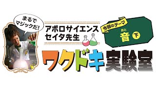 音ってフシギ♪　セイタ先生のワクドキ実験室　音のヒミツ（下）