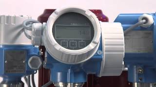 Interface model - Levelflex FMP55 Multiparameter (EN)