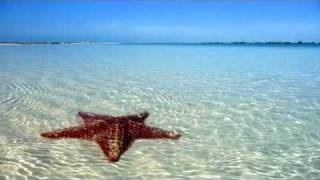 CAYO LARGO - Туры на Кубу от JOY Travel Group