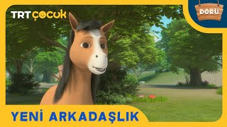 DORU (YILKI ATI) | YENİ ARKADAŞLIK | TRT ÇOCUK