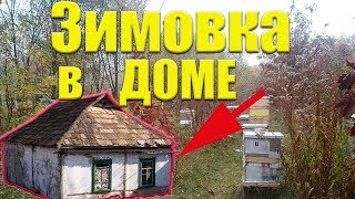 Зимовка пчел в помещении《 Пасека в Доме》.А Вы знали что так можна??Как зимуют пчелы в доме