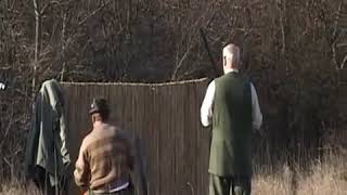 Driven Pheasant Shooting in Serbia with  Lasarotta Hunting