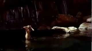 JENNY AGUTTER: ABOUT NUDITY IN WALKABOUT