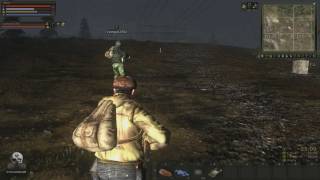 Stalker Online - Ruger Mini 14 Rifle