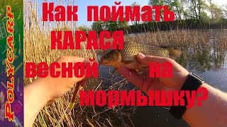 ЛОВЛЯ КАРАСЯ НА МОРМЫШКУ И СКОЛЬЗЯЩИЙ ПОПЛАВОК\\НА ДНЕПРЕ ВЕСНОЙ