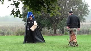 Using Cato Outdoor Placeboards for IGP/Schutzhund Protection