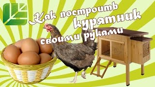 Как построить курятник на даче своими руками. Часть 1│ Башинком