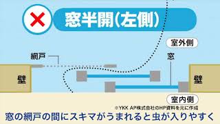 部屋の換気の際に注意！虫を家に入れない 窓や網戸の閉め方