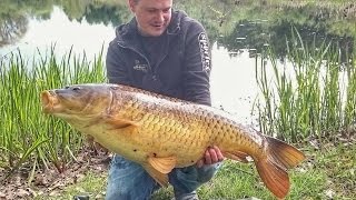 Трофейный Карп 19 килограмм на бойлы. Рыбалка на карпа на озере.