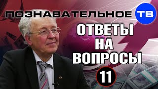 Ответы на вопросы 11 (Познавательное ТВ, Валентин Катасонов)