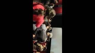 (Read Kashmiri Muslim 1st Comment on this video)Kashmiri Pandit review Shikara by Vidhu Vinod Chopra