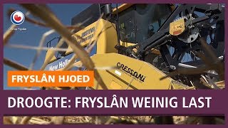 REPO: Noord-Friesland heeft niet veel last van droogte; aardappelboeren wel