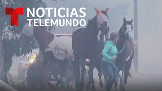 Miles de personas evacuadas y animales atrapados en incendio Simi Valley | Noticias Telemundo
