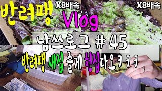 VLOG | 일상 브이로그 남쓰로그 #45 반려팽 새집줄게 헌집다오 ㅋㅋㅋㅋ(feat.달팽이 충격적인 결말)