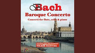 Keyboard Concerto No. 1 in D Minor, BWV 1052: I. Allegro