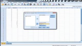 Welch's t-test (unequal variances) - SPSS