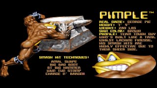 Battletoads (Arcade) - Pimple