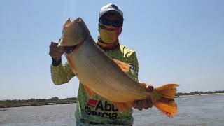 PESCA DE DORADOS - Rio Dulce, Sgo. Del Estero - AIRE DE PESCA