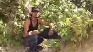 HatayCrew GizemLiRapci Mc Mahmut YaraLıStayLa Feat Dj KraL