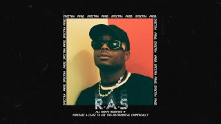 [FREE] Ninho x Maes Piano Type Beat 2020 - "R.A.S" | Instru Rap Trap 2020 (Prod. Spectra x Ashka)