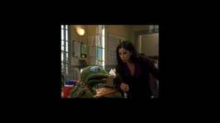 Best of Tardy the Turtle (Greg the Bunny)
