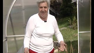 Советы тети Тани. Посадка капусты.