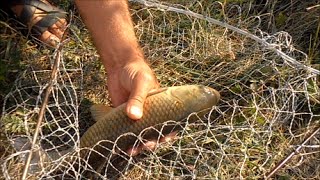Ловля карпа и белого амура на пружину "Маодзедун".My fishing.