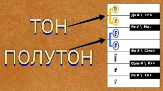 Урок 4. Тон и полутон в музыке
