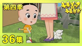 《新大头儿子和小头爸爸》（第四季） 第36集 狗狗百米赛  | CCTV少儿