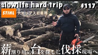 薪ストーブを買う人の為に！薪割り台を探しに伐採現場へ！