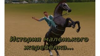 История маленького жеребёнка