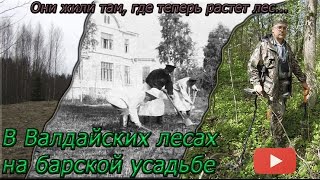 Коп 2015. В Валдайских лесах на барской усадьбе.