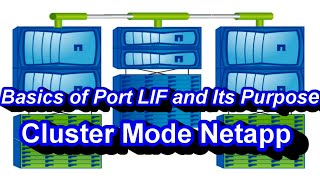 Intro on Ports Role, LIFs Role And Their Purpose