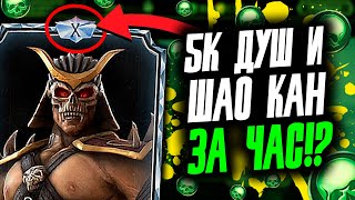5 ТЫСЯЧ ДУШ и ШАО КАН ЗА ЧАС! БАГ НА ДУШИ в ОХОТЕ ЗА РЕЛИКВИЯМИ MORTAL KOMBAT MOBILE!