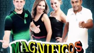 BANDA MAGNÍFICOS-CRISTAL QUEBRADO