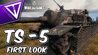 Not What I Expected || WOT TS-5 First Look