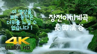 한국기행 / 한국의 비경 장전 이끼계곡 / 4K UHD