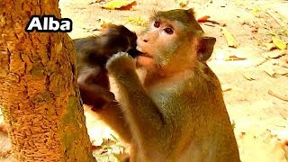 Look Anna Mouth That Alba Head Evil Mum Bit Alba So Hard | Stop Now Anna Alba Not Your Food