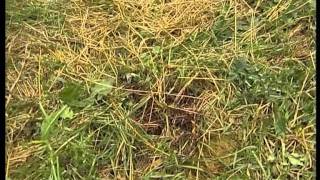 Новости АТН 7 сентября 2011 г. (2)