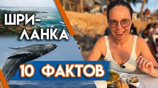 10 плюсов отпуска на Шри-Ланке!  | Почему отдых на Шри-Ланке потрясающий?