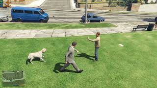 Asus TUF Gaming FX505DT 2019 Test GTAV