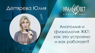 Анатомия и физиология ЖКТ: как это устроено и работает? Дегтярева Юлия #убвк_гастроэнтерология